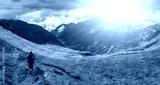 preview cold