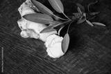 preview bw