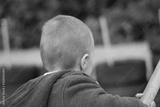 preview bw