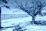 preview cold