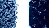 preview cold