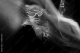 preview bw