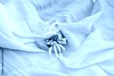preview cold