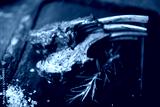 preview cold