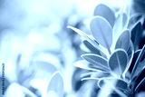 preview cold