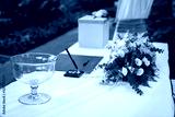 preview cold