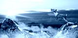 preview cold