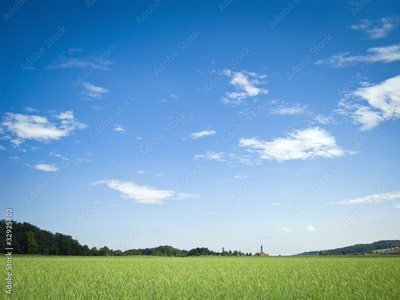 image to crop
