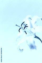 preview cold