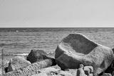 preview bw