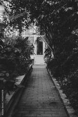 preview bw