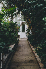 preview original