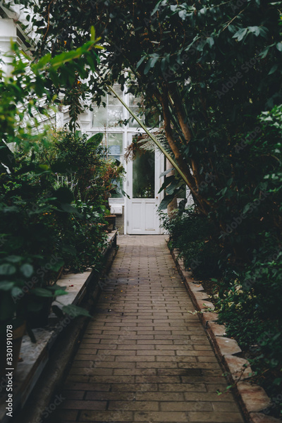 image to crop