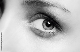 preview original
