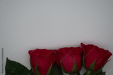 preview original