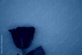 preview cold