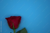 preview original