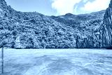 preview cold