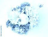 preview cold