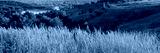 preview cold