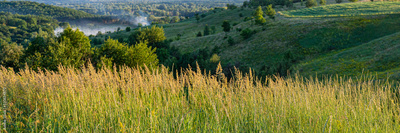 image to crop