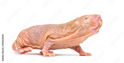 image to crop