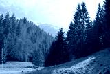 preview cold