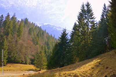 image to crop