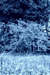 preview cold