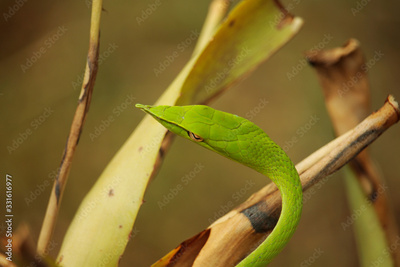 image to crop