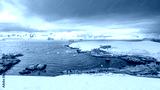 preview cold