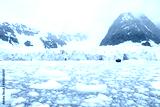 preview cold