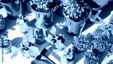 preview cold