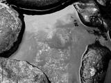 preview bw