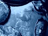 preview cold