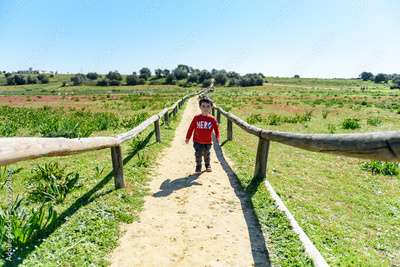 image to crop