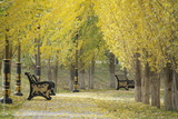preview original
