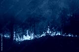 preview cold