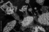 preview bw