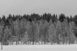 preview bw
