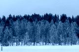 preview cold