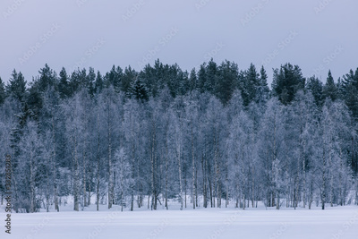 image to crop