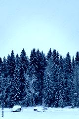 preview cold