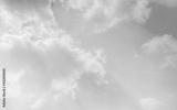 preview bw