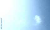 preview cold