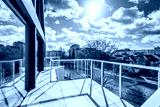 preview cold