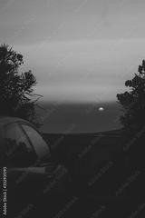 preview bw