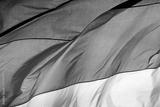 preview bw