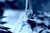 preview cold