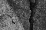 preview bw